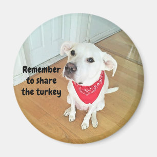 Photo of Cute Pup Dog With Funny Ears Sticking Out Magnet