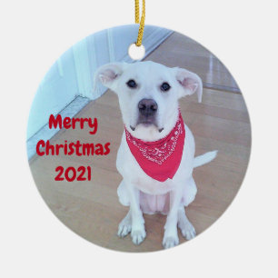 Photo of Cute Pup Dog With Funny Sticking Out Ears Ceramic Ornament