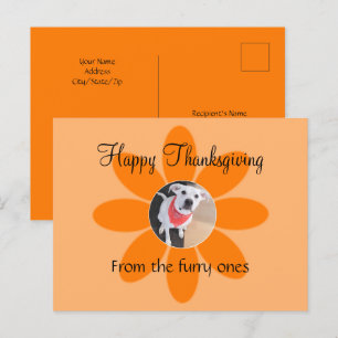 Photo of Cute Puppy Dog in Orange Flower Simple Holiday Postcard