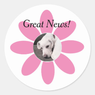 Photo of Cute Puppy Dog in Pink Flower Frame Classic Round Sticker