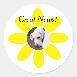 Photo of Cute Puppy Dog in Yellow Flower Frame Classic Round Sticker