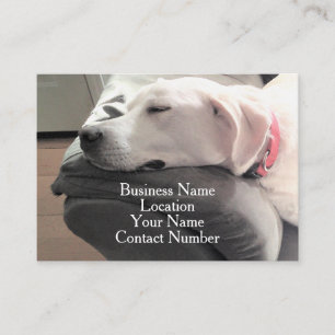 Photo of Cute Sleeping White Dog on Couch Business Card
