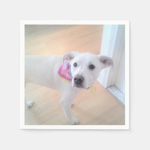 Photo of Cute Sweet White Puppy Dog Face Napkin