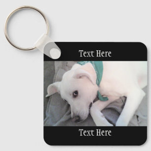 Photo of Cute Tired Dog Wearing Green Scarf Black Keychain