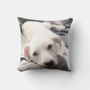 Photo of Cute Tired dog With Dad on Couch Square Throw Pillow