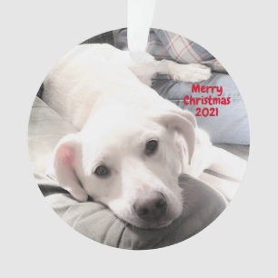 Photo of Cute Tired Puppy dog With Dad Christmas Ornament