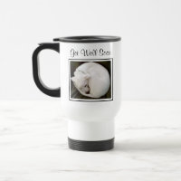 Photo of Cute White Dog Curled Up Get Well Soon