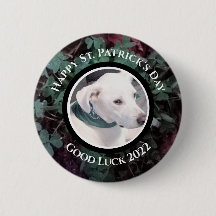 Photo of Cute White Dog Green Shamrocks Clovers