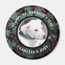 Photo of Cute White Dog Green Shamrocks Clovers