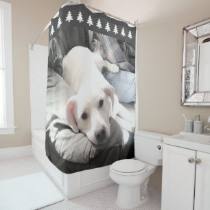 Photo of Cute White Dog Grey Christmas Trees