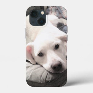 Photo of Cute White Dog Hanging Out with Dad iPhone 13 Mini Case