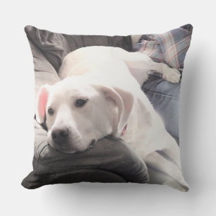 Photo of Cute White Dog Hanging Out with Dad Throw Pillow