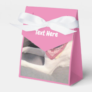 Photo of Cute White Dog Pink Favor Box