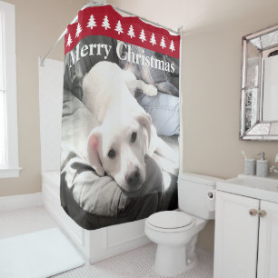 Photo of Cute White Dog Red Christmas Trees Shower