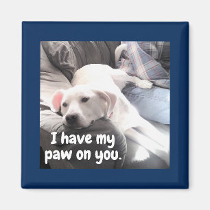 Photo of Cute White Dog With Back Paw On Dad Magnet