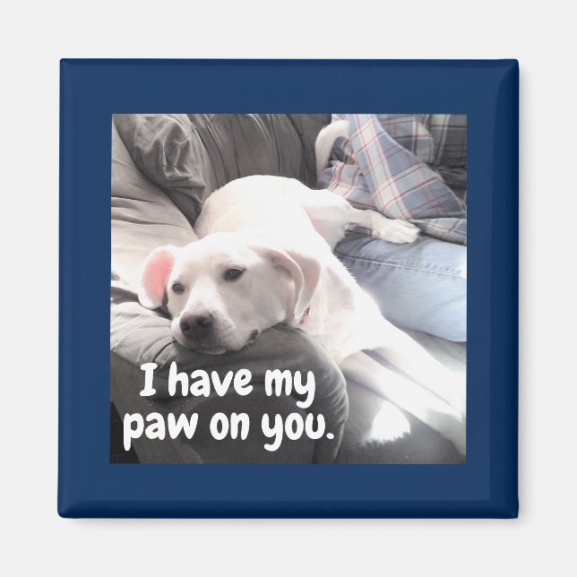 Photo of Cute White Dog With Back Paw On Dad Magnet (Front)