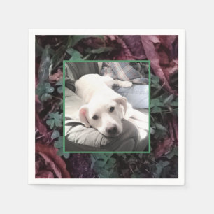 Photo of Cute White Dog With Dad Shamrocks Clovers Napkin