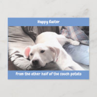 Photo of Cute White Lazy Dog With Dad Blue