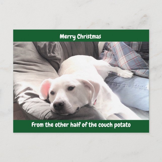 Photo of Cute White Lazy Dog With Dad Green Holiday Postcard (Front)
