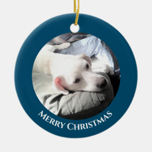 Photo of Cute White Puppy Dog With Dad Blue Cerami Ceramic Ornament