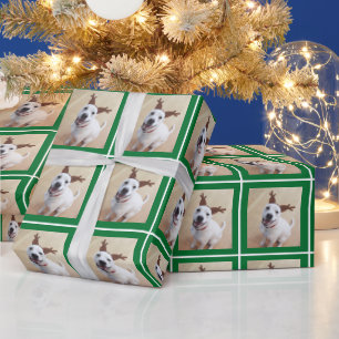 Photo of Cute White Reindeer Puppy Dog Green Wrapping Paper