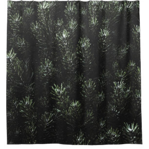 Photo of green fir plant