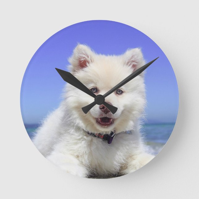 Photo of my dog on 8" Acrylic Round Large Clock (Front)