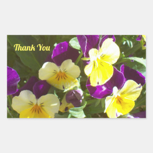 Photo of Purple and Yellow Pansies Thank You Sticker