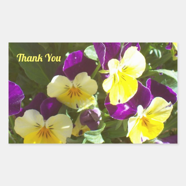 Photo of Purple and Yellow Pansies Thank You Sticker (Front)