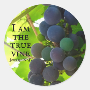 Photo of Purple Grapes Gospel of John Bible Verse Classic Round Sticker