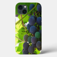 Photo of Purple Grapes Gospel of John Bible Verse