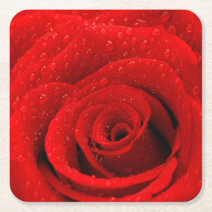 Photo of Red Rose Background Square Paper Coaster
