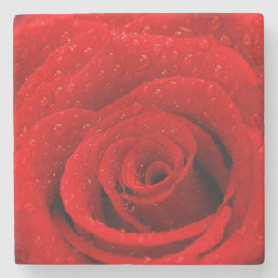 Photo of Red Rose Background Stone Coaster