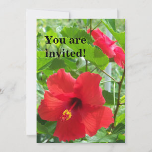 Photo of red tropical hibiscus flowers on an invitation