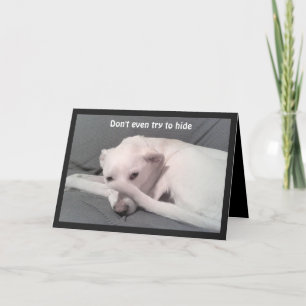 Photo of Sad Depressed Dog 40th Birthday Grey  Card