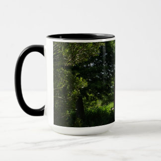 Photo of the Bridge at Lake Parker in Lakeland  Mug