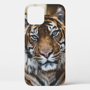 PHOTO OF TIGER'S FACE iPhone 12 CASE