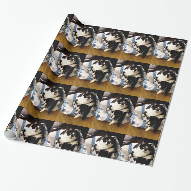 Photo of Tuxedo Cat on Christmas Wrapping Paper (Unrolled)
