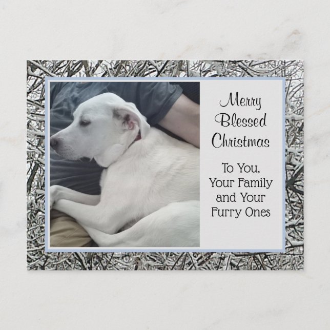 Photo of White Dog with Dad Winter Snow Christmas Holiday Postcard (Front)