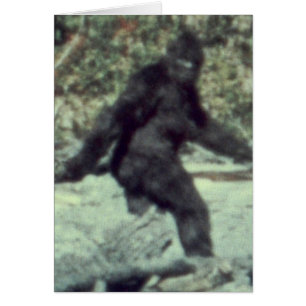 PHOTO ORIGINALE DE 1967 DE BIGFOOT SASQUATCH