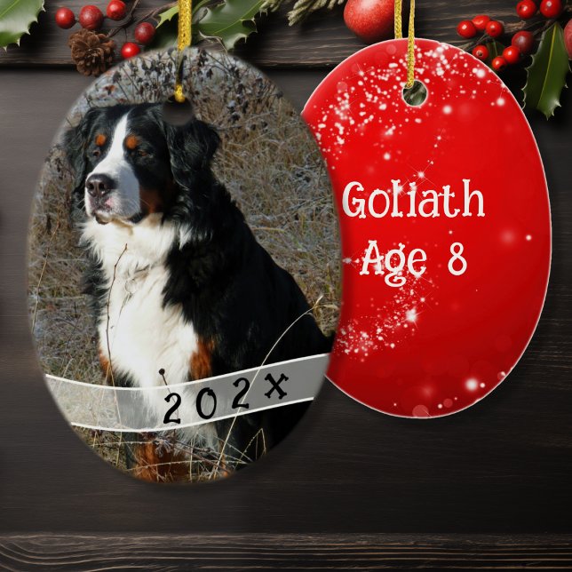 Photo Oval Dog Dé Ornement de Noël (Créateur téléchargé)