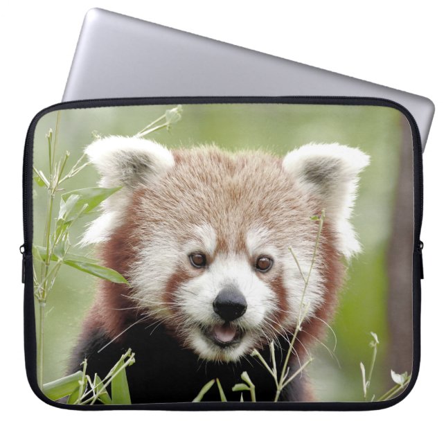 Photo panda , animals laptop cases .  (Front)