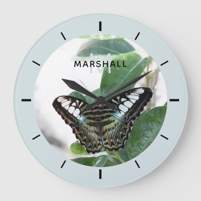 Photo Papillon - Horloge murale personnalisée (Recto)