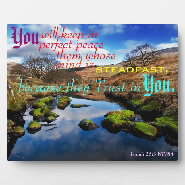 Photo Parfait Plaque De Paix. (Devant)