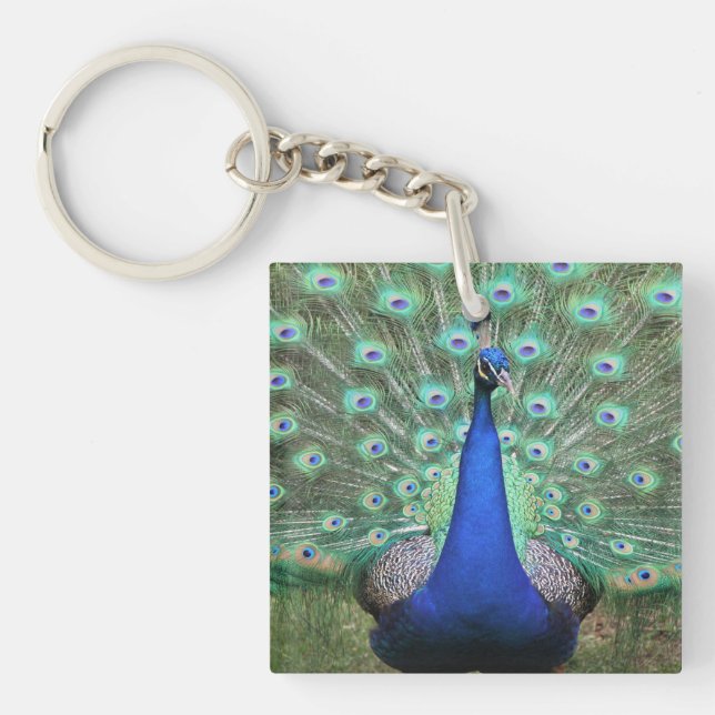 Photo Peacock sur porte - clé (Devant)