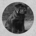 Photo Personalized Custom