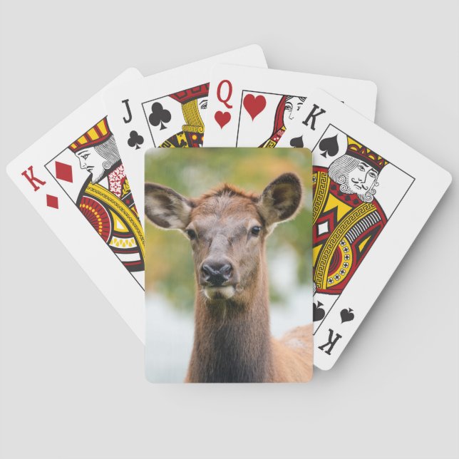 Photo Personalized Custom Playing Cards (Back)