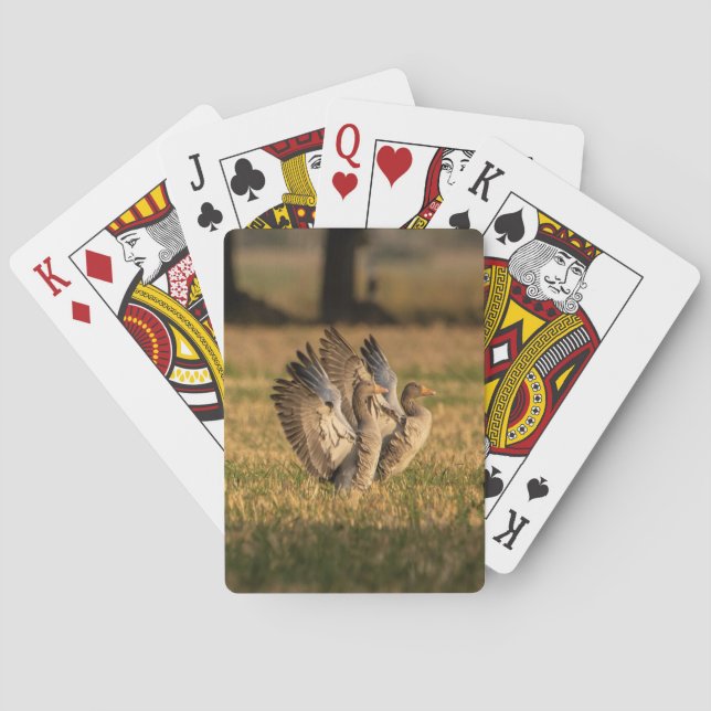Photo Personalized Custom Playing Cards (Back)