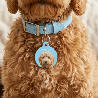 Photo Personalized Dogs Name - READ DESCRIPTION Pet Tag