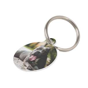 Photo Personalized in Memorial Pet Tag